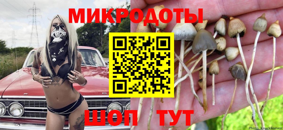Псилоцибиновые грибы Psilocybine cubensis Кизилюрт